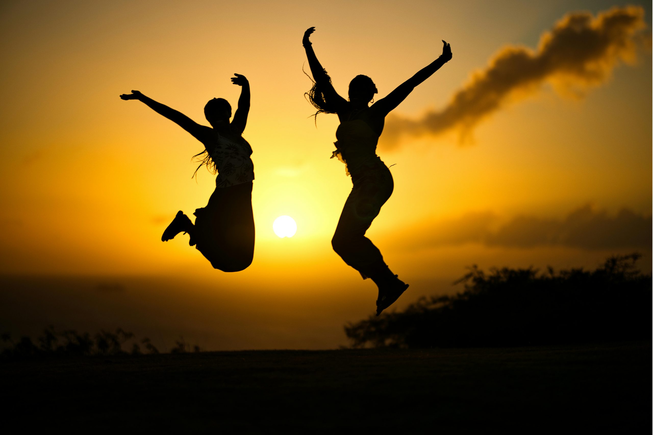 pexels-jaytrick-36473780